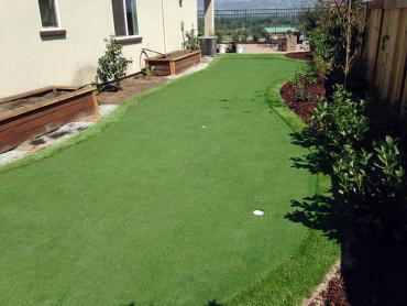 Artificial Grass Photos: Synthetic Pet Grass Murrieta Hot Springs California Back and Front Yard